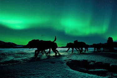 Em busca da aurora boreal em trenó de huskies